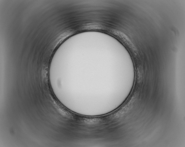 X0000111141225200907281105