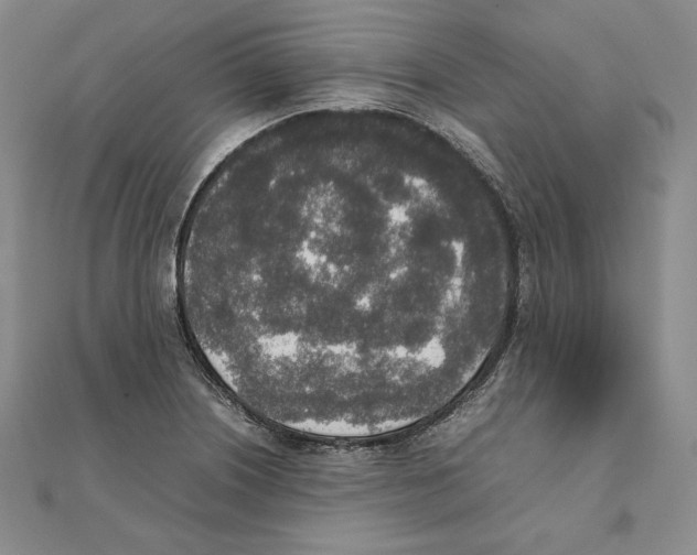 X0000111141226200907281105