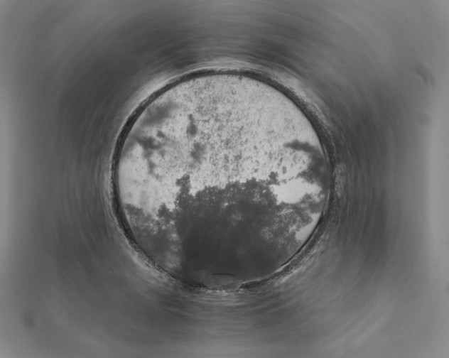 X0000111141229200907281105