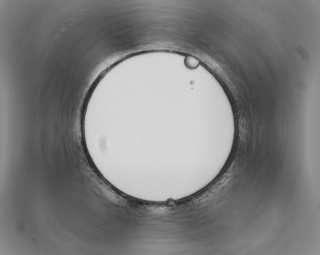 X0000111141230200907281106