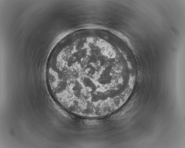 X0000111141231200907281106