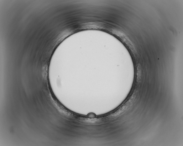 X0000111141233200907281106