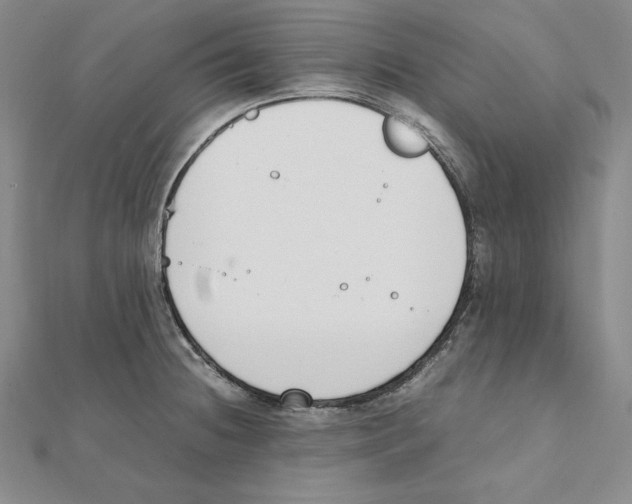 X0000111141236200907281106