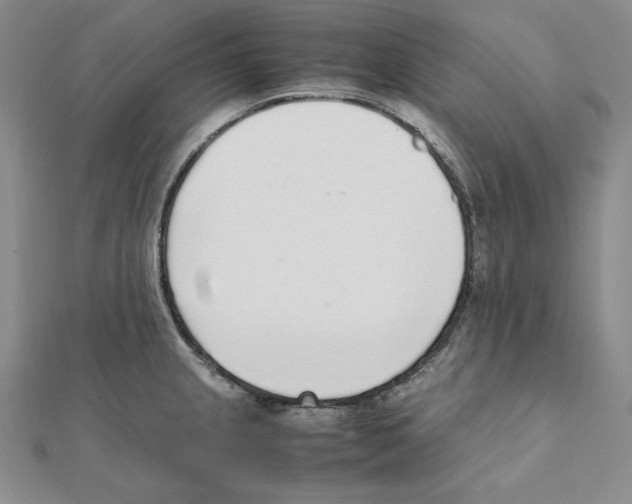 X0000111141237200907281106