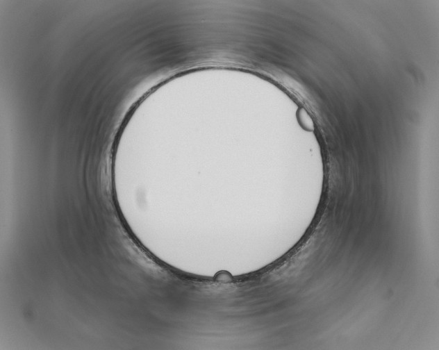 X0000111141238200907281106