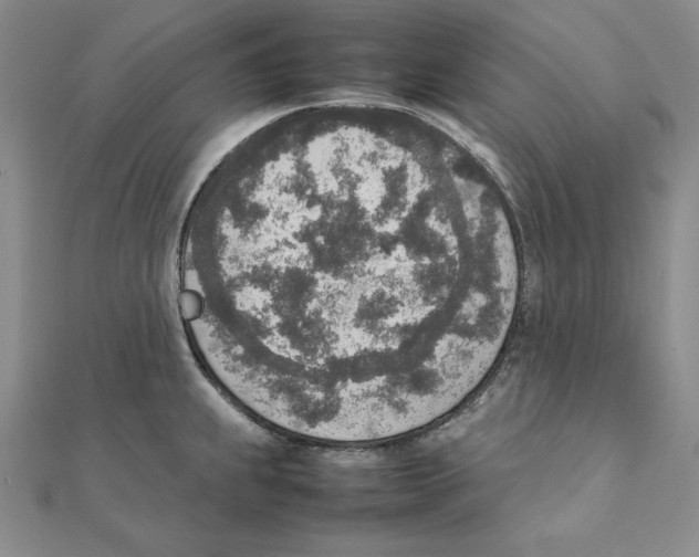 X0000111141239200907281106