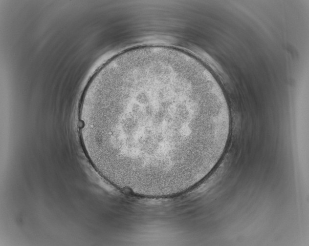 X0000111141240200907281106