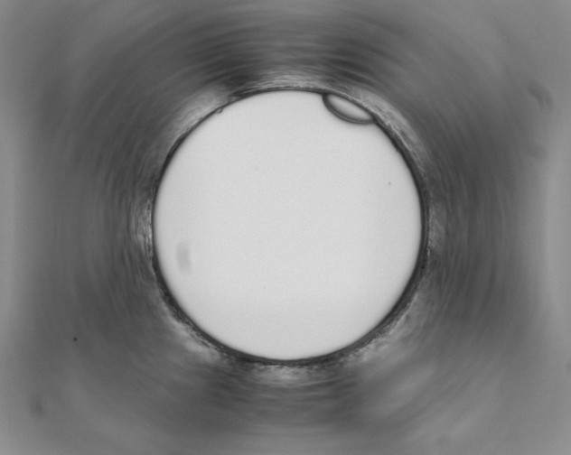 X0000111141241200907281106