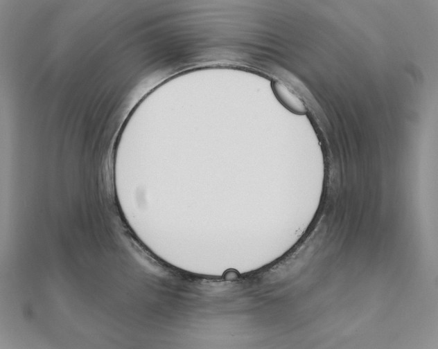 X0000111141242200907281106