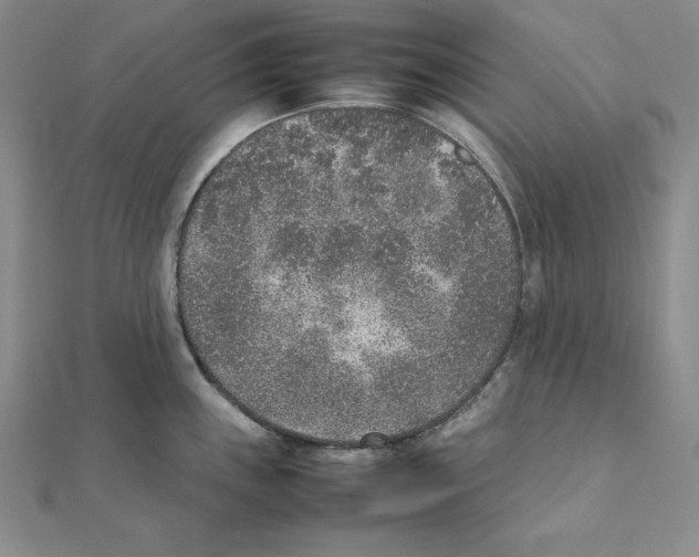 X0000111141243200907281106