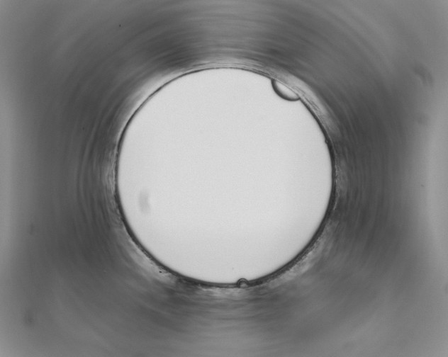 X0000111141244200907281106