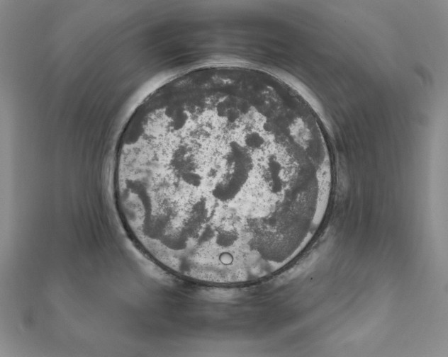 X0000111141245200907281106