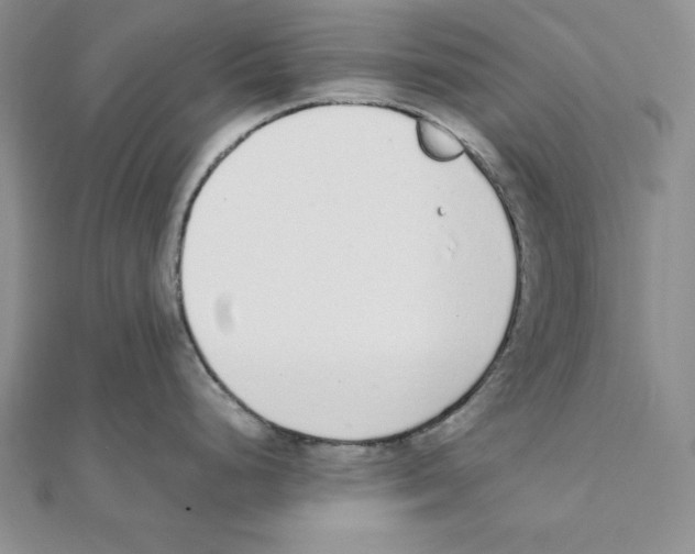 X0000111141248200907281106