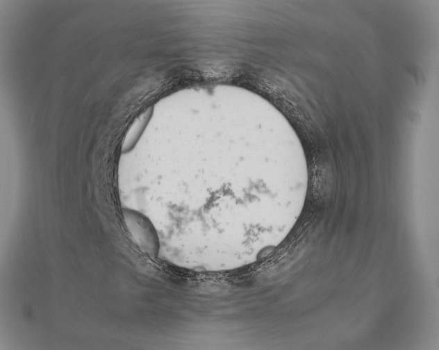 X0000111141249200907281105