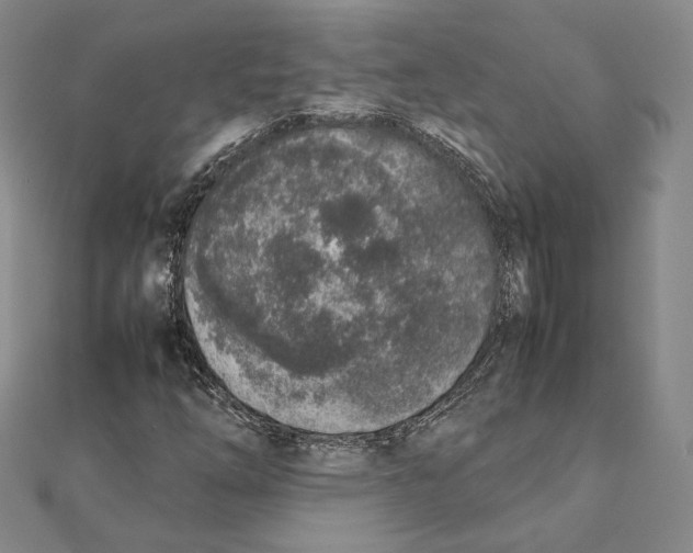 X0000111141254200907281105