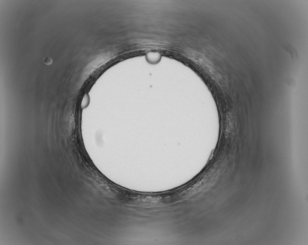 X0000111141261200907281105