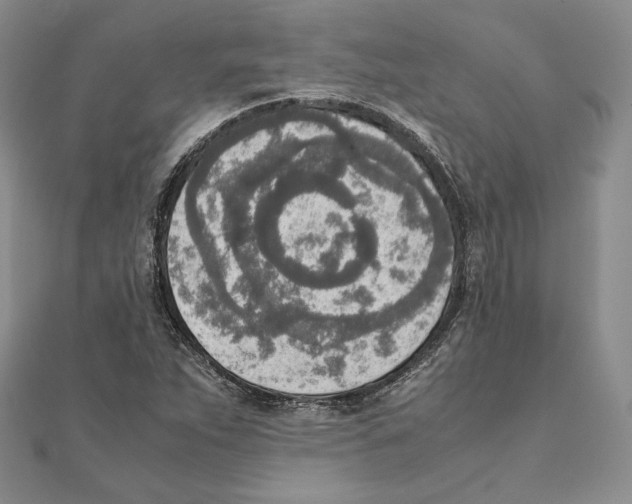 X0000111141263200907281105