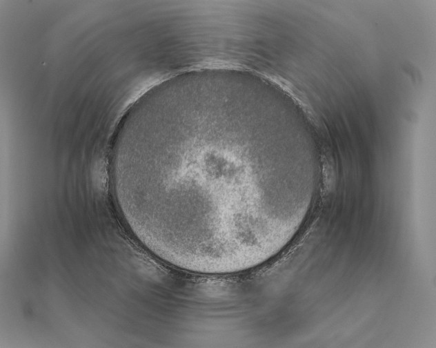 X0000111141266200907281105