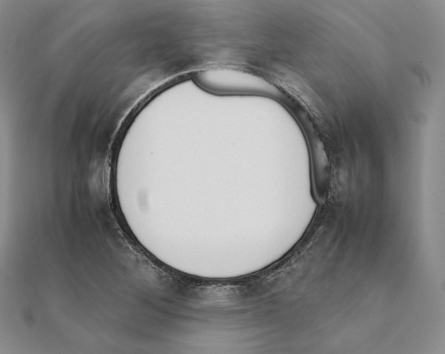 X0000111141268200907281105