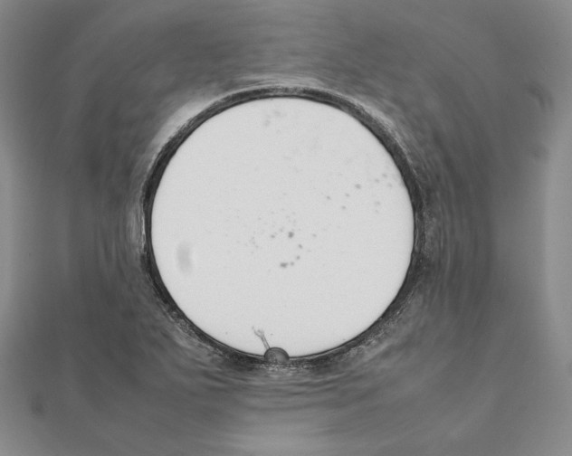 X0000111141271200907281105