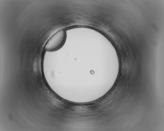 X0000111141272200907281105