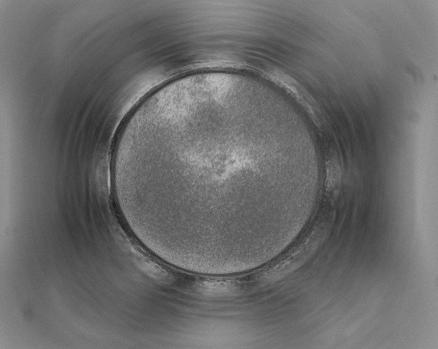 X0000111141274200907281105