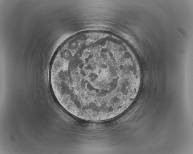 X0000111141275200907281105