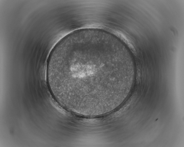 X0000111141276200907281105