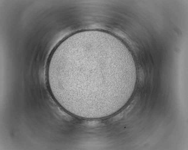 X0000111141278200907281105