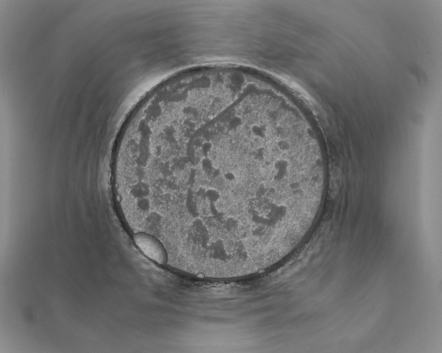 X0000111141279200907281105