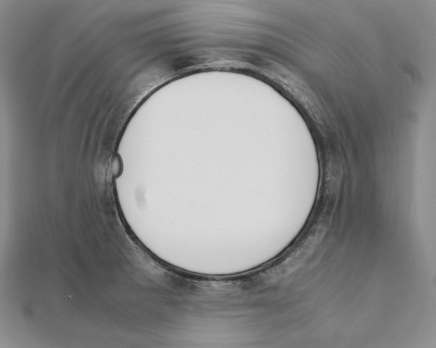 X0000111141281200907281105