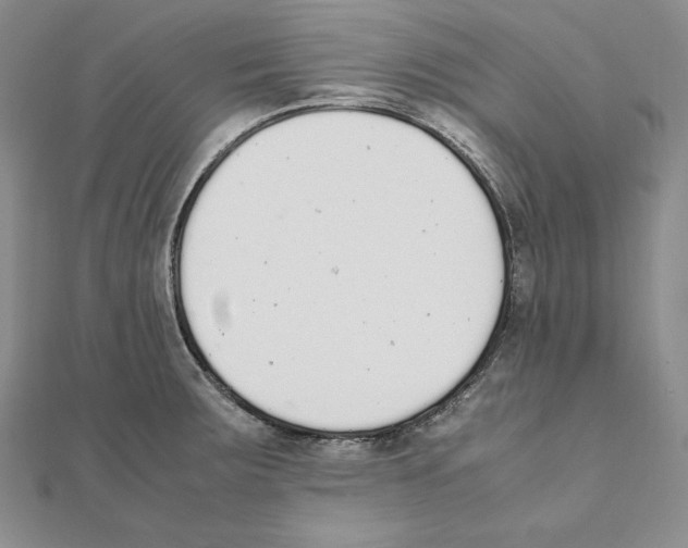 X0000111141283200907281105