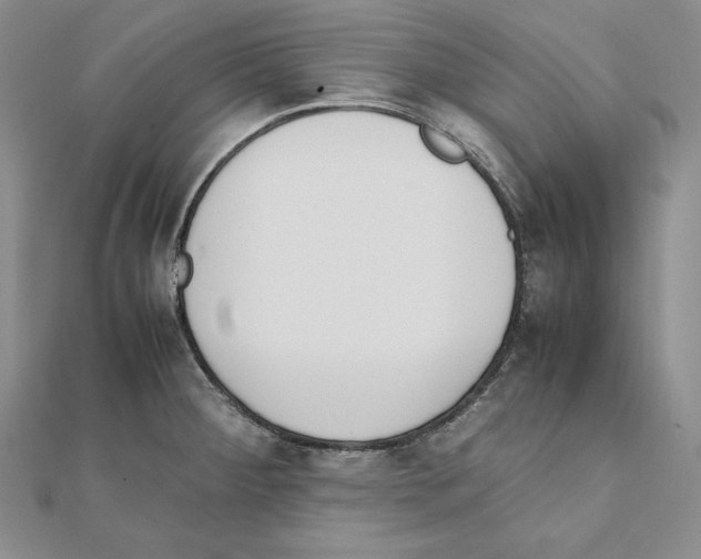 X0000111141284200907281105