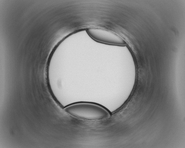 X0000111141285200907281105