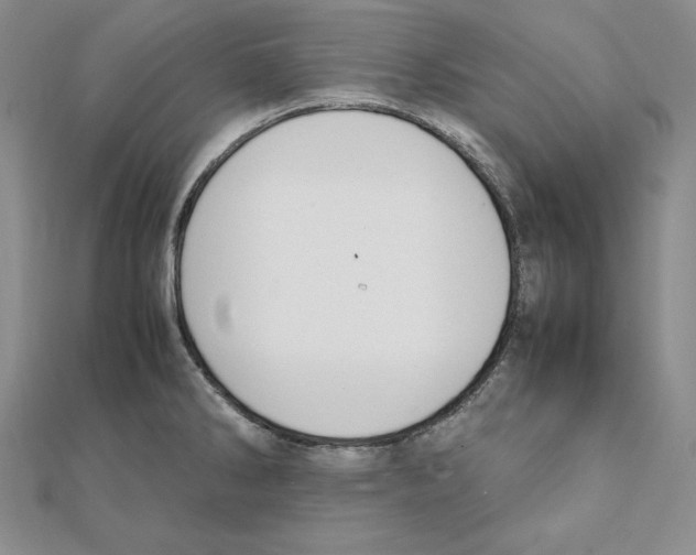 X0000111141286200907281105