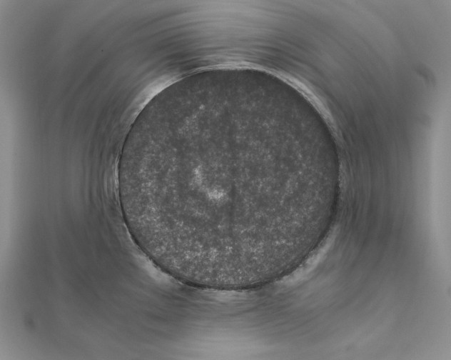 X0000111141289200907281105