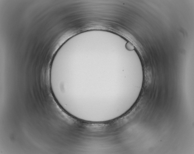 X0000111141290200907281105