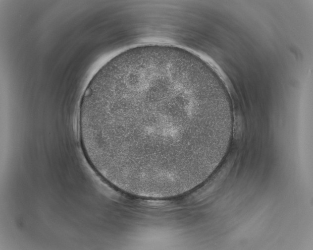 X0000111141295200907281105