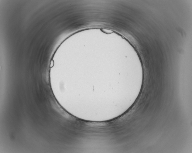 X0000111141296200907281105