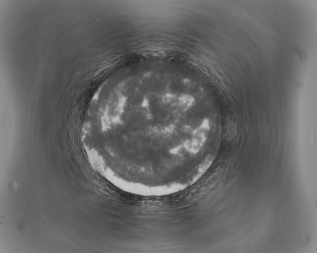 X0000111141297200907281104