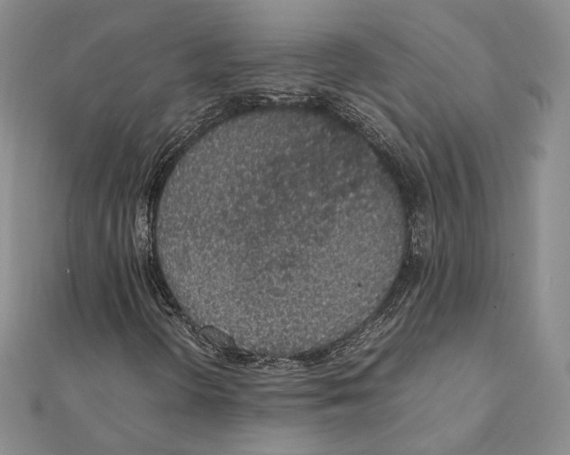 X0000111141298200907281104