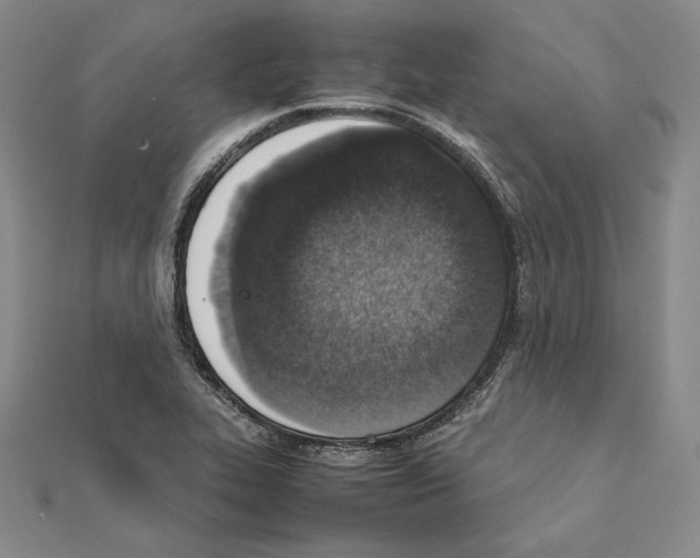 X0000111141319200907281104