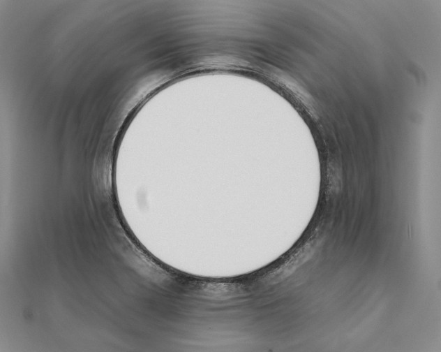 X0000111141322200907281104