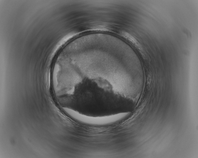 X0000111141323200907281104