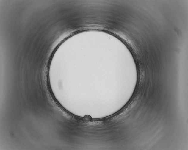 X0000111141325200907281104