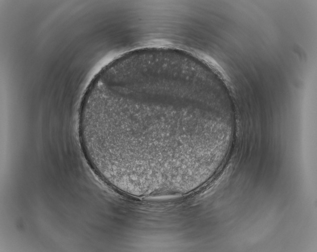 X0000111141326200907281104