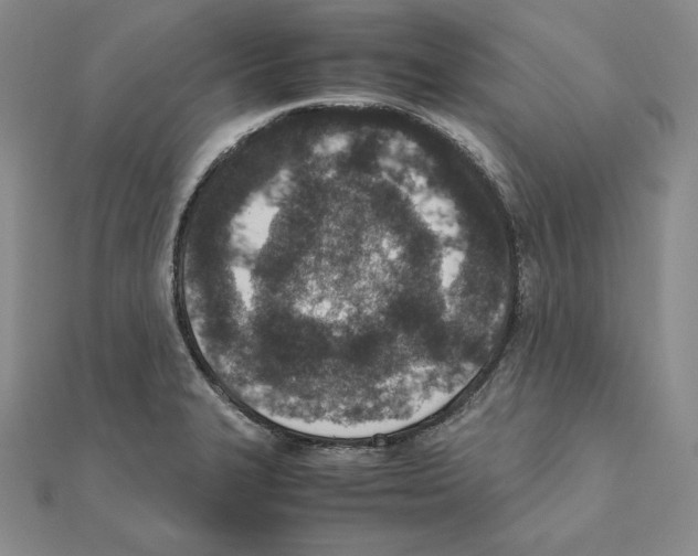 X0000111141327200907281104