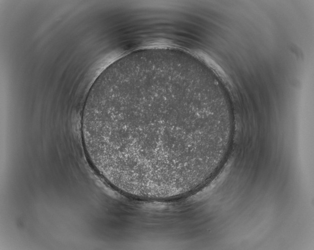 X0000111141329200907281104