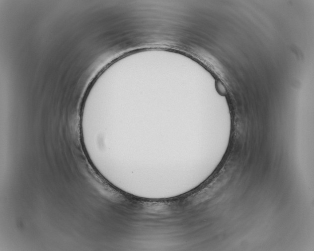 X0000111141332200907281104