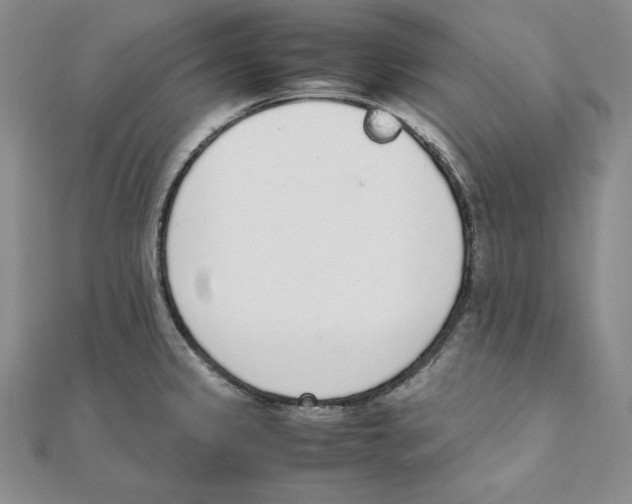 X0000111141333200907281104